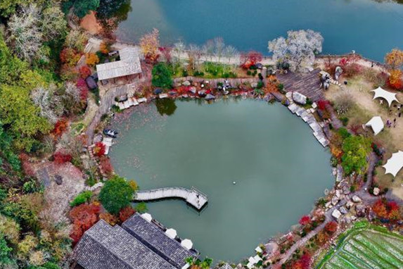 �������ݣ��l����������������